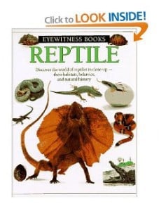 Reptile book cover