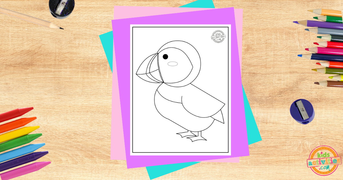 Cute Puffin Coloring Page For Kids