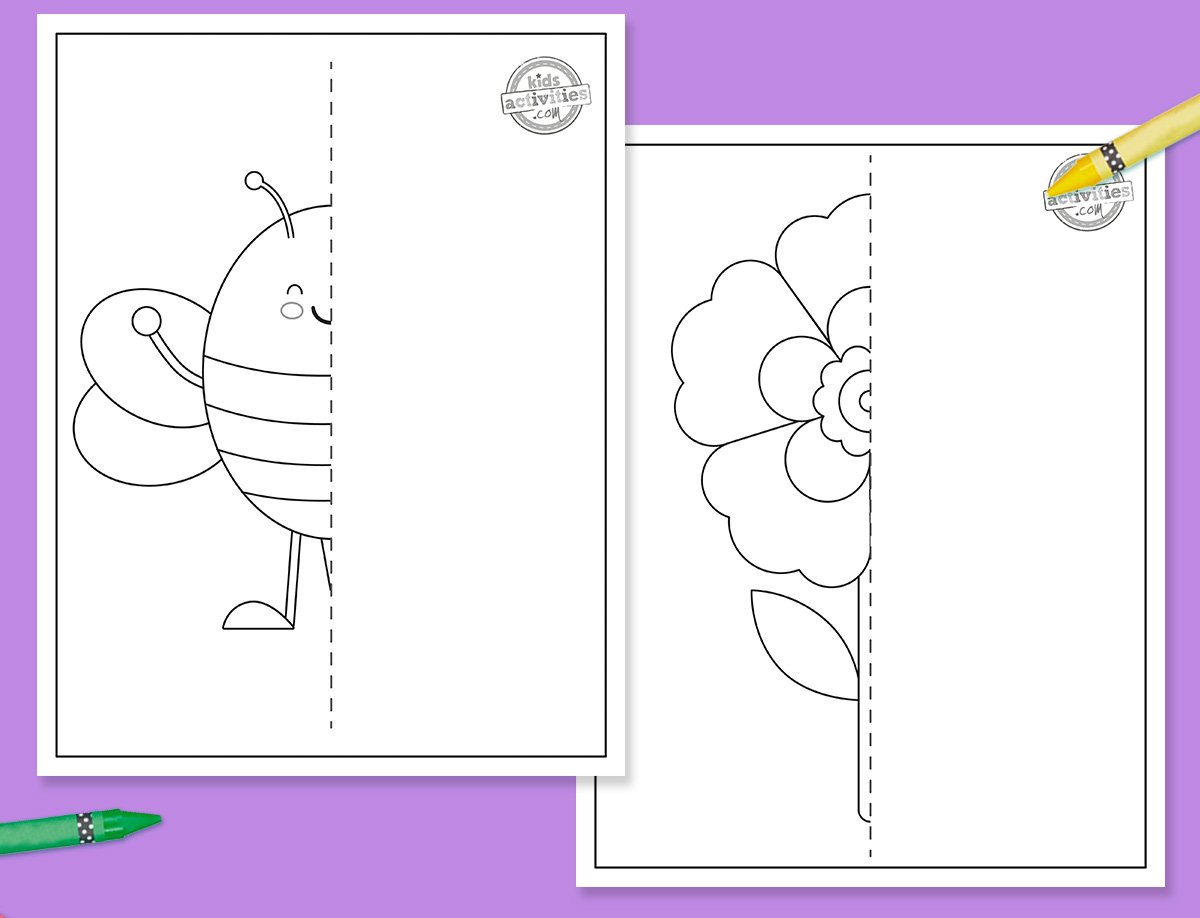 Draw The Other Half! Symmetry Drawing Worksheets