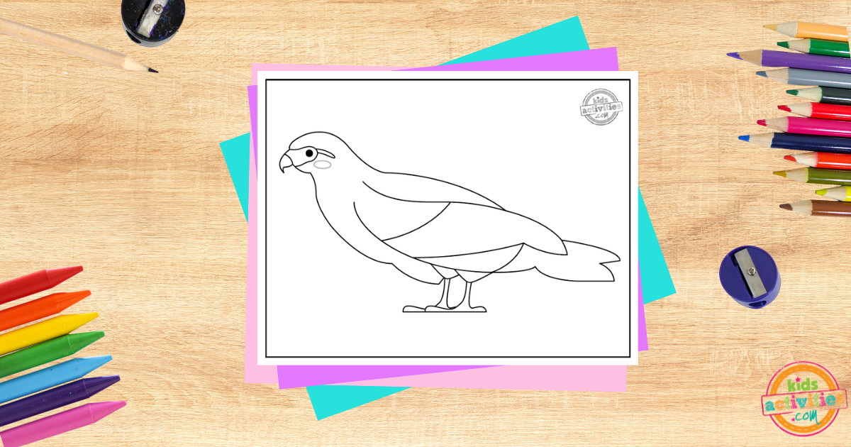 Yellow Headed Caracara Coloring Page For Kids