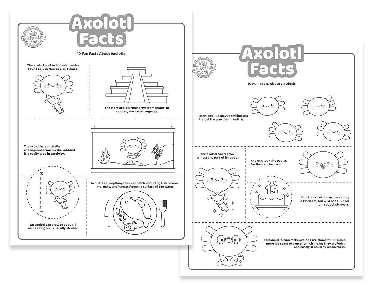 Fun Facts About Axolotl that Kids Can Print