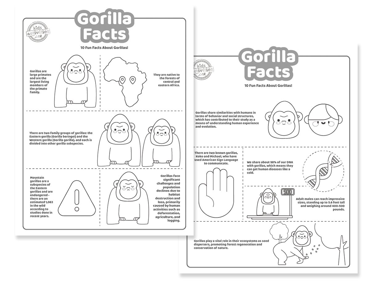 Interesting Gorilla Facts for Kids to Print & Play