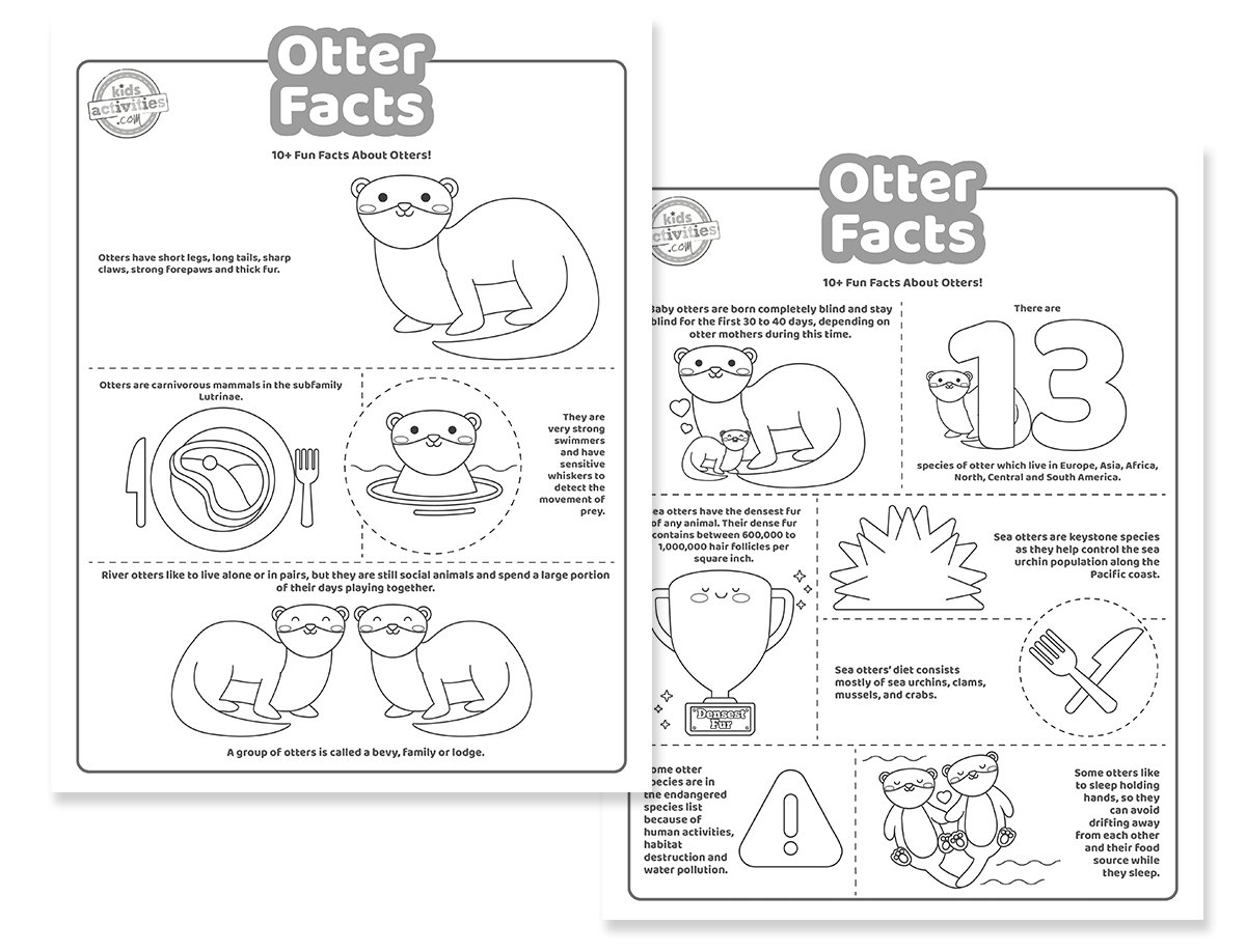 Intriguing Otter Facts for Kids to Print