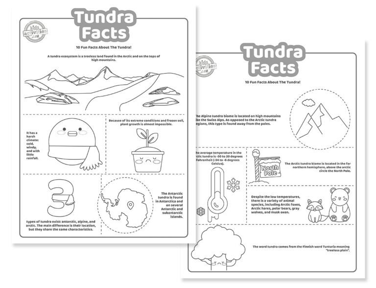 Printable Tundra Facts For Kids