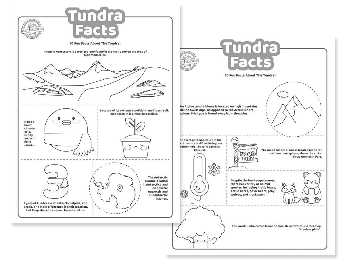 Printable Tundra Facts For Kids