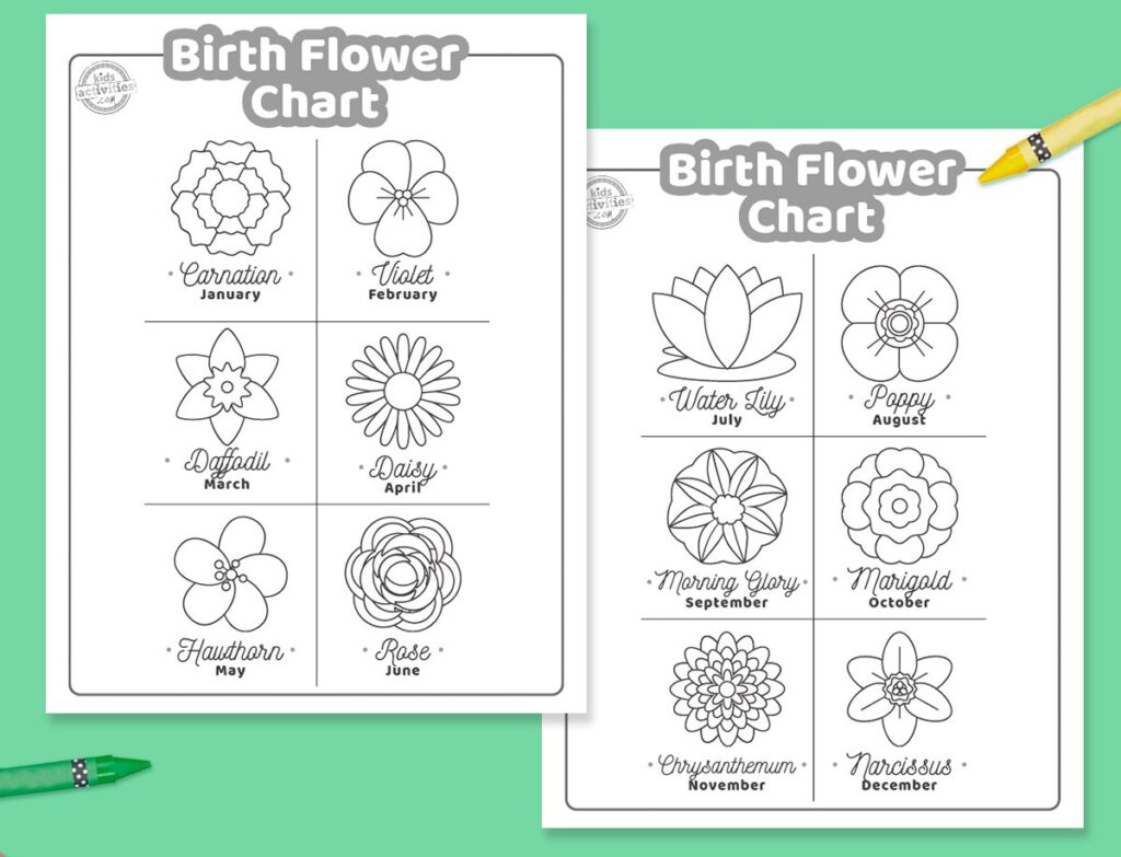 Learn What’s Your Birth Flower With Printable Birth Flower Chart