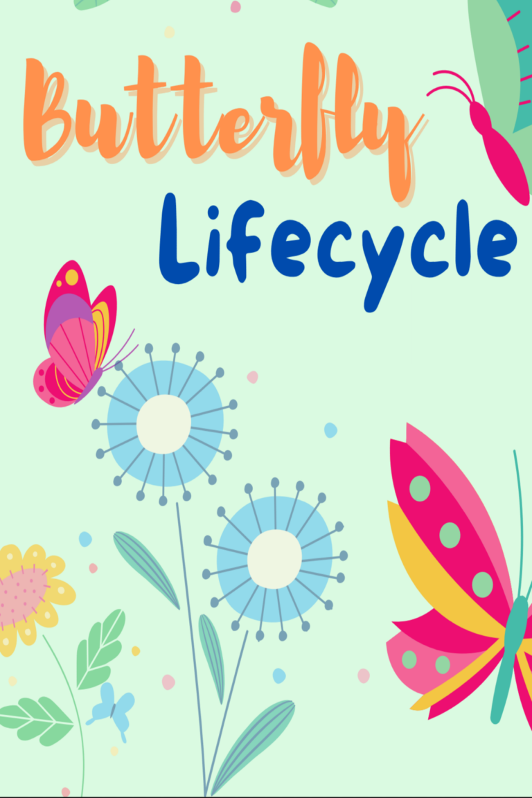 Explore the Butterfly Lifecycle with this Fun Printable Set
