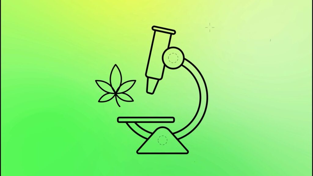 THC Decoded Site Art