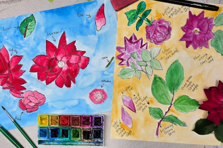 Nature Study Art Project for Kids