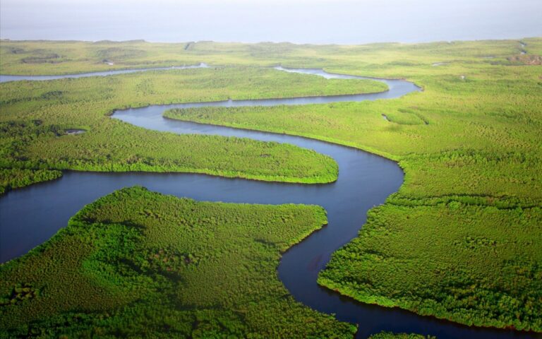 West African countries Gambia Dan Roizer