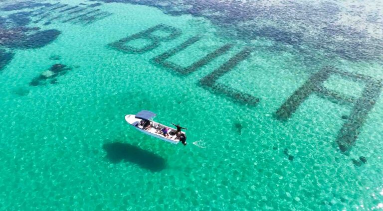 Fiji Bulla Reef PIR BULA Reef 2
