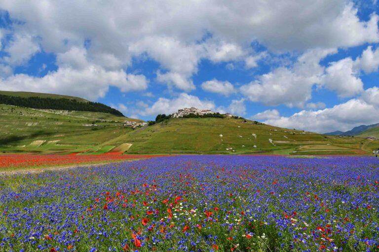Sibillini Mountains Italy Flor di Castellucio Photo Antonio Cinotti